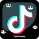 TikTok Followers